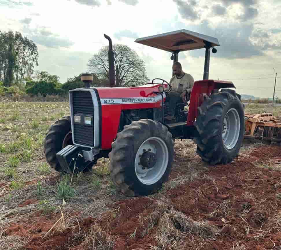 Trator Massey Ferguson 275 1992 - imagem de fundo