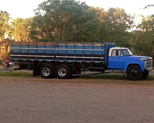 Caminhão Ford Caçamba F600 74/74 - Imagem 5