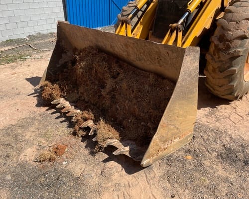 Retroescavadeira JCB 4 CX 10/10 - Imagem 21