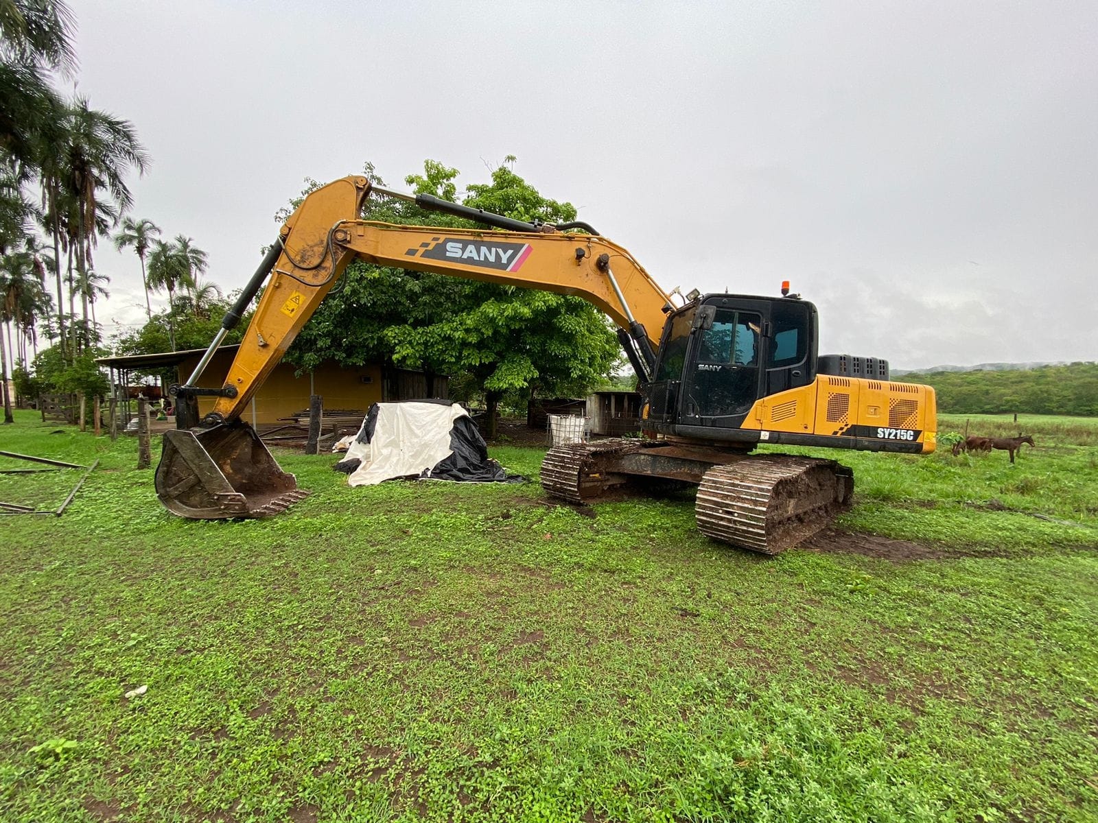 Escavadeira Sany SY215C 2022 - Imagem 1