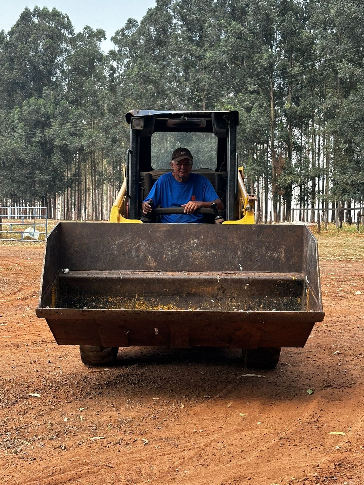 Mini Carregadeira Caterpillar 216B3 2015 - Imagem 2