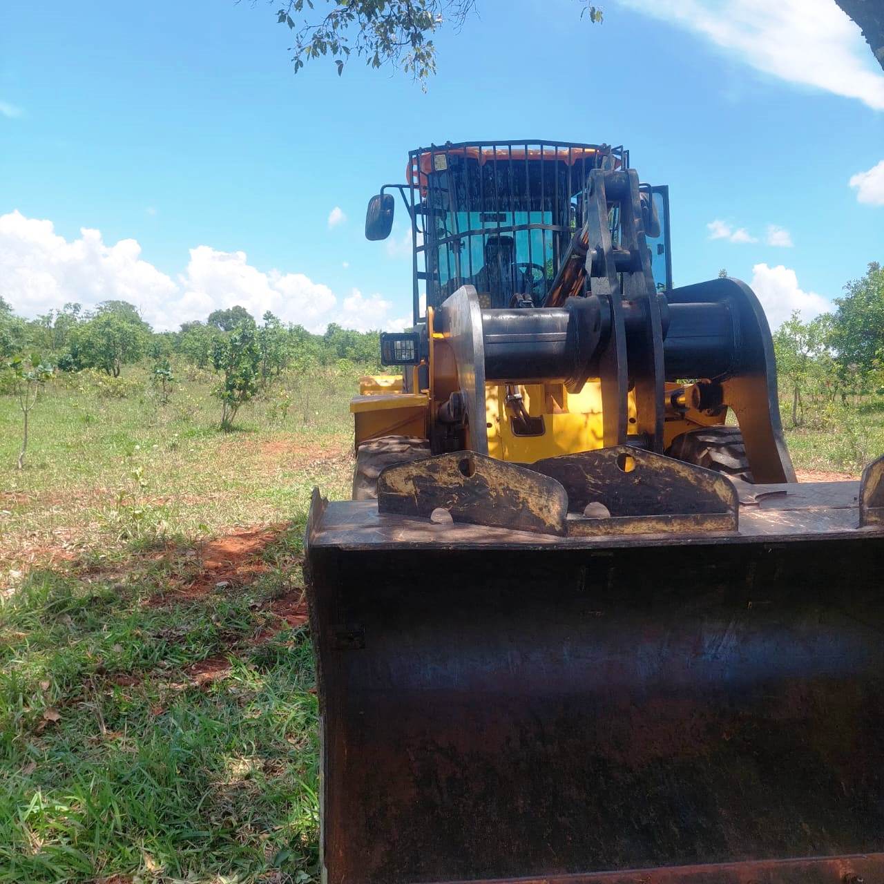 Pá Carregadeira JCB 422ZX 2018 - Imagem 5