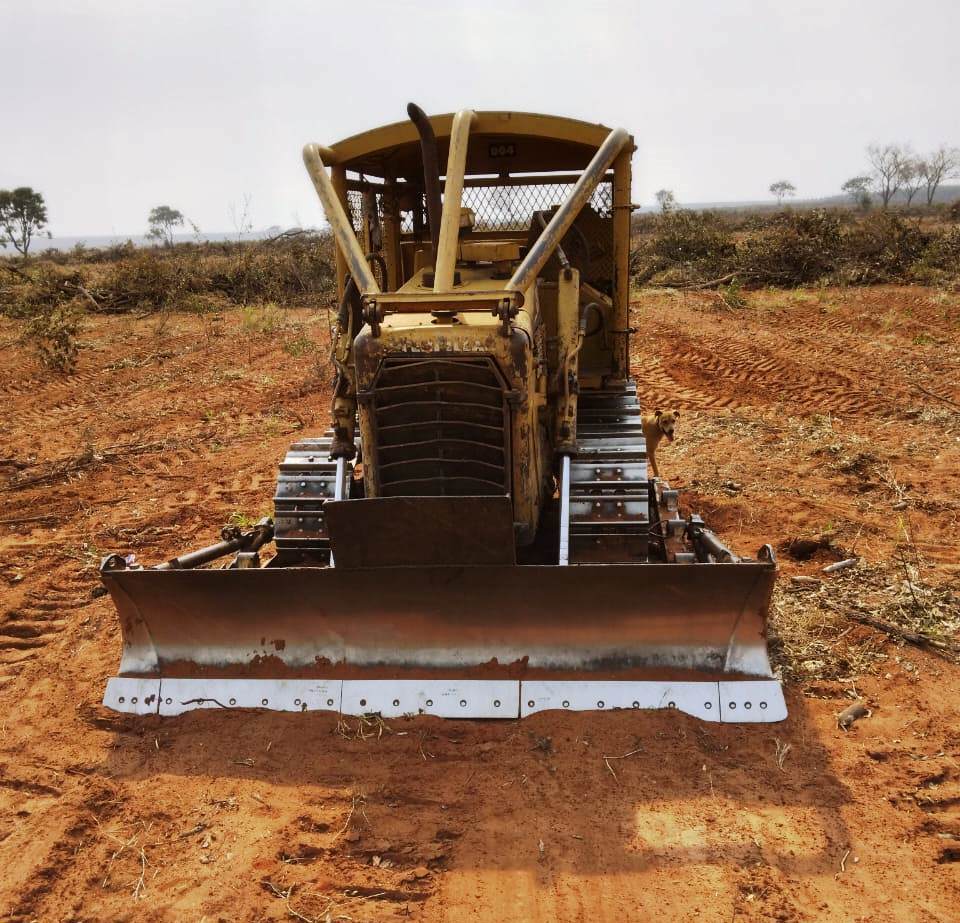 Trator de esteira Caterpillar D4EDD 1989 - Imagem 5