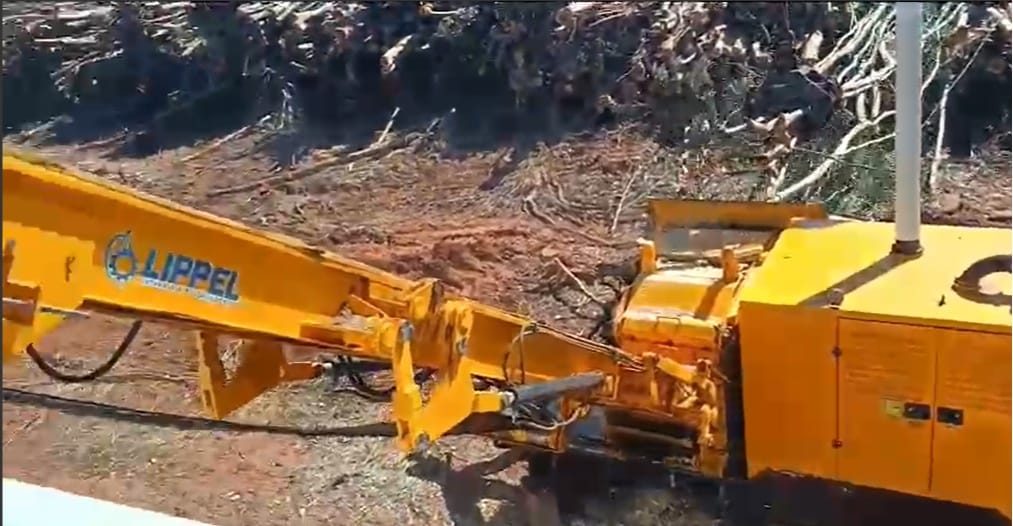 Trituradores Lippel Raptor - 700 2017 - Imagem 1