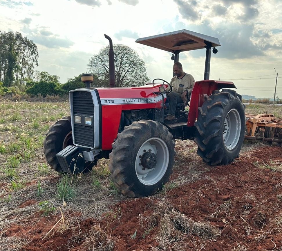 Trator Massey Ferguson 275 1992 - foto 1 de 7
